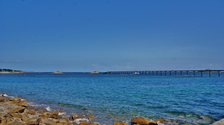 29 Plages autorisées aux chiens - Roscoff