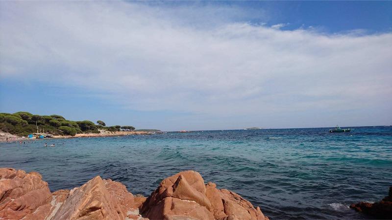 2A Plages autorisées aux chiens - Osani