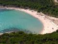 2a plages pour animaux porto vecchio 