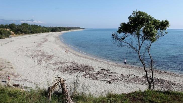 2B plages autorisées aux chiens - Linguizzetta