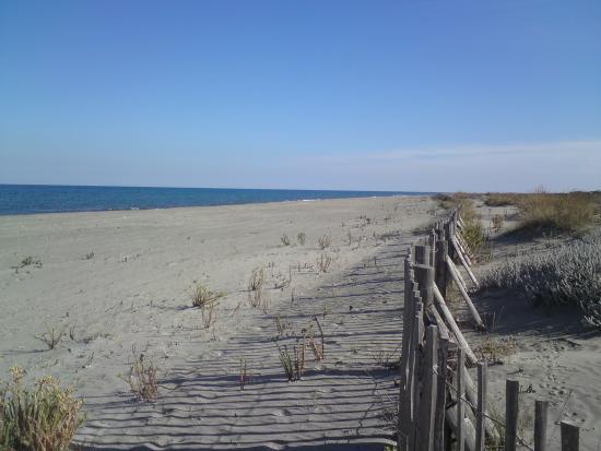 2B Plages autorisées aux chiens - Lucciana