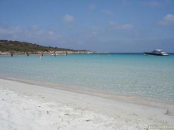 2B Plages autorisées aux chiens - Saint-Florent