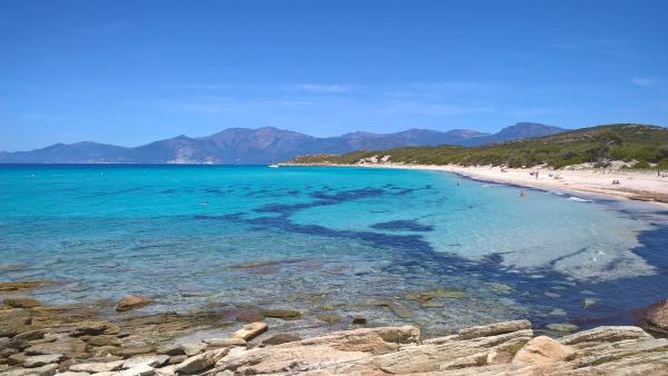 2B Plages autorisées aux chiens - Santo-Pietro-di-Tenda