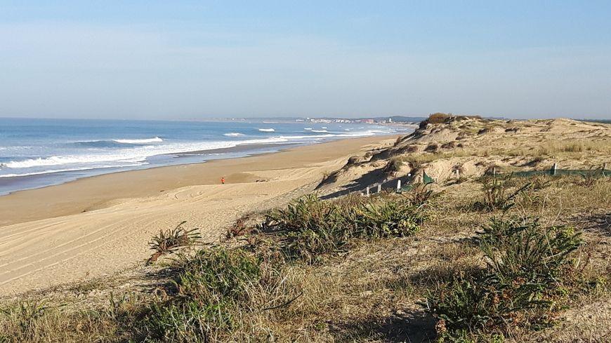 40 Plages autorisées aux chiens - Labenne