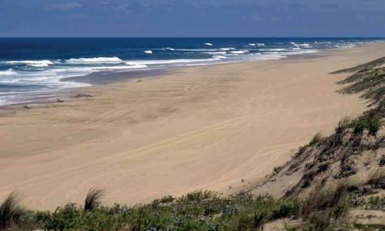 40 Plages autorisées aux chiens - Mimizan