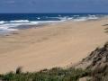 40 plages pour animaux mimizan 