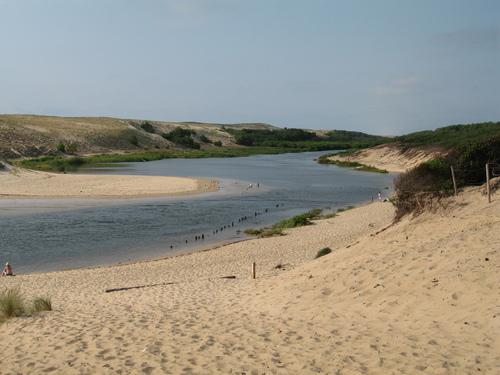 40 Plages autorisées aux chiens - Moliets-et-Maa