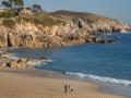 50 plages pour animaux les moitiers d allonne