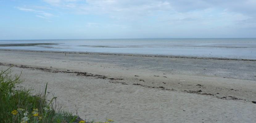 50 Plages autorisées aux chiens - Saint-Martin-de-Varreville