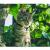 Accessoires animaux collier camera gps distributeur croquettes aliments chien chat nac