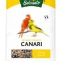 Aliment canari alimentation oiseau