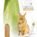 Aliment lapin nain