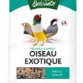 Aliment oiseau exotique alimentation oiseau