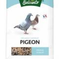 Aliment pigeon alimentation oiseau