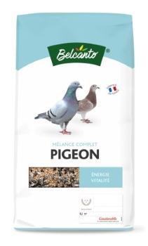 Aliment pigeon alimentation oiseau