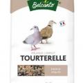 Aliment tourterelle alimentation oiseau