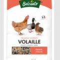 Aliment volaille alimentation basse cour