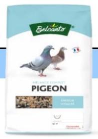 Alimentation pigeon aliments pigeon vente en ligne france