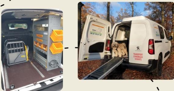 Ambulancier animalier ambulance animaliere transport d animaux chien chat nac