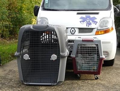 Ambulancier animalier secouriste animalier transporteur d animaux vivants chien chat nac france dom tom