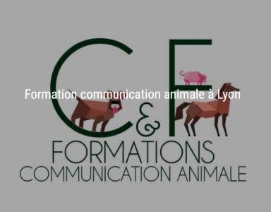 Animal communication animal training lyon rhone