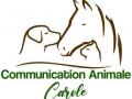 Animal communication training animal training lyon rhone 69 