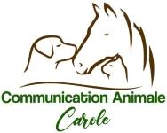Animal communication training animal training lyon rhone 69