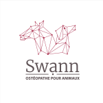 Animal osteopath osteopath for animals cat dog horses rouen seine maritime 76 eure 27 yvelines 78 france