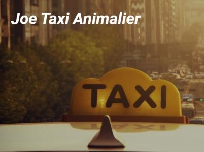 78 Animal Taxi & Animal Transport - Paris Poissy
