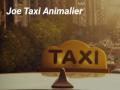 Animal taxi transport of animals dog cat animal transport poissy paris ile de france