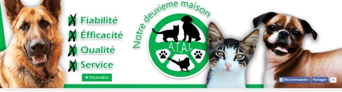 Animal taxi transport of animals dog cat nac limoges haute vienne 87 france