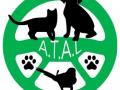 Animal taxi transport of animals dog cat nac limoges haute vienne 87
