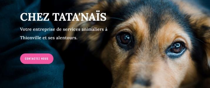 Animal taxi transport of animals dog cat nac metz thionville moselle 57 grand est france