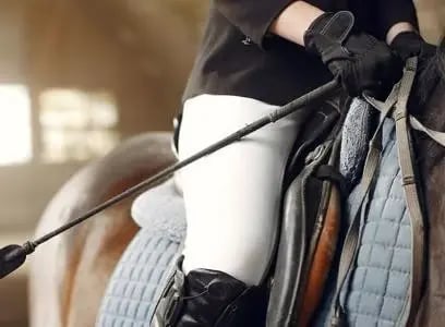 Avocat droit animalier paris droit veterinaire 75 droit canin felin equin ile de france 2