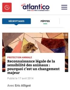 Avocat pour animaux vitry sur seine droit animalier creteil avocat pour chien chat cheval val de marne 94 2