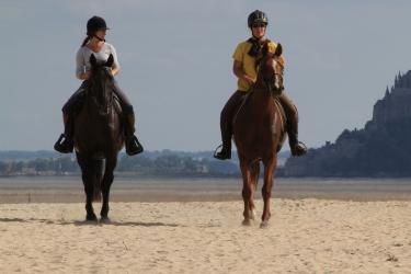 Balade a cheval promenade equine randonnee equestre france dom tom belgique 