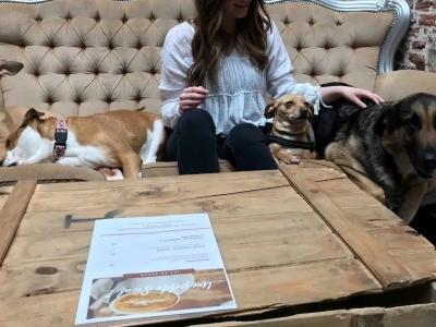 Dog bar, Cat bar