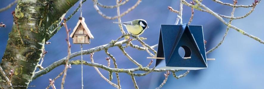 Place an ad animal service & pet-sitter - France - DOM-TOM