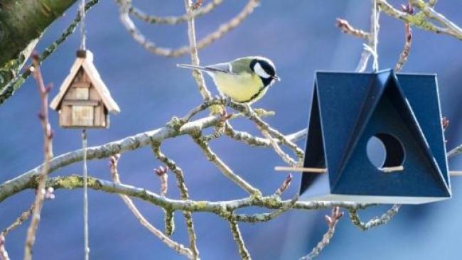 Place an ad animal service & pet-sitter - France - DOM-TOM