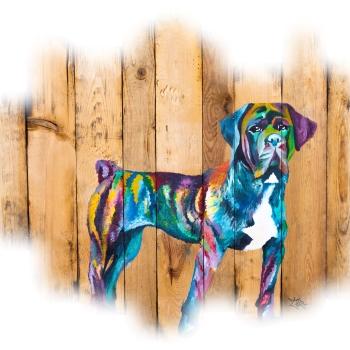 37 Breeder Cane Corso - Tours