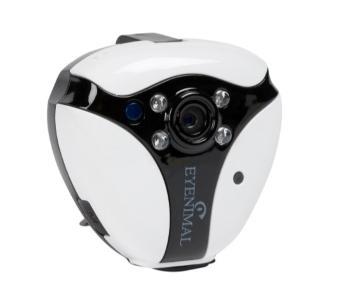 Camera pour animaux collier chat camera integre collier chien camera integre