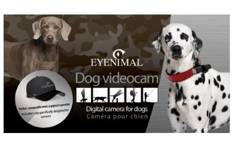 Camera pour animaux webcam pour chien camera integree chien vente promo web pas cher