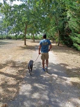 Cani rando cani randonnee cani balade promenade de chien france dom tom belgique 