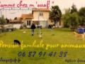 Canine boarding dog guard dog sitter dog walker pau pyrenees atlantiques 64 