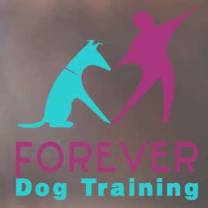 95 Animal guard & Pet Sitter - Argenteuil Paris