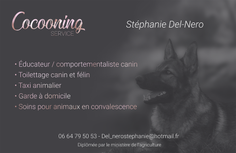 Canine education canine educator saint francois pointe a pitre basse terre guadeloupe 972