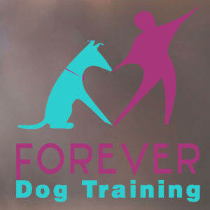 75 Dog training, Dog Trainer - Paris Argenteuil