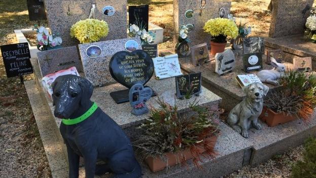 29 Cemetery & Crematorium for animals - Quimper