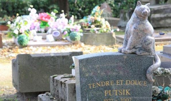 75 Cemetery & Crematorium for animals - Paris