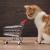 Pet Shop & Pet Shop Online